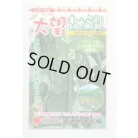 送料無料　[キュウリ]　大望　20粒　(株)ときわ研究場