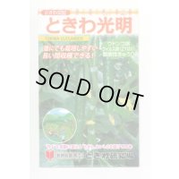 送料無料　[キュウリ]　ときわ光明　20粒　(株)ときわ研究場