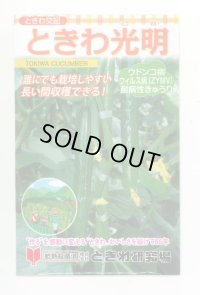 送料無料　[キュウリ]　ときわ光明　20粒　(株)ときわ研究場