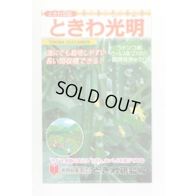 画像1: 送料無料　[キュウリ]　ときわ光明　20粒　(株)ときわ研究場