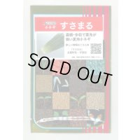 送料無料　[ねぎ]　小ねぎ　すさまる　　20ml （約3200粒）（株）サカタのタネ