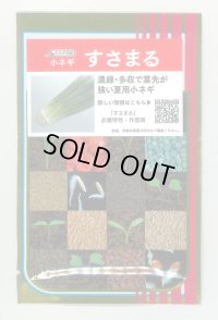 送料無料　[ねぎ]　小ねぎ　すさまる　　20ml （約3200粒）（株）サカタのタネ