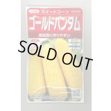 送料無料　[とうもろこし]　ゴールドバンタム　20ml(約50粒)　（株）サカタのタネ 実咲350（104070）