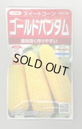 送料無料　[とうもろこし]　ゴールドバンタム　20ml(約50粒)　（株）サカタのタネ 実咲350（104070）
