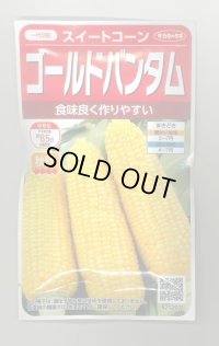 送料無料　[とうもろこし]　ゴールドバンタム　20ml(約50粒)　（株）サカタのタネ 実咲350（104070）