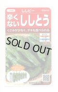 送料無料　[ピーマン]　ししピー　約20粒　(株)サカタのタネ　実咲550（002906）
