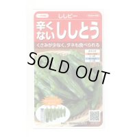 送料無料　[ピーマン]　ししピー　約20粒　(株)サカタのタネ　実咲550（002906）