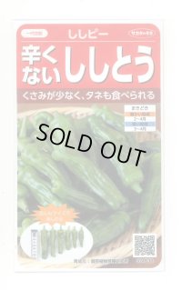 送料無料　[ピーマン]　ししピー　約20粒　(株)サカタのタネ　実咲550（002906）