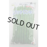 [いんげん]　つるあり　スラットワンダー　1L　タキイ種苗