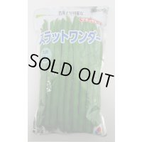 [いんげん]　つるあり　スラットワンダー　1L　タキイ種苗