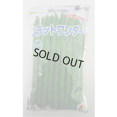 画像1: [いんげん]　つるあり　スラットワンダー　1L　タキイ種苗