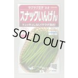 送料無料　[いんげん]　つるなしいんげん　サクサク王子ネオ　20ml(約55粒)　（株）サカタのタネ　実咲350（003735）