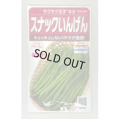 画像1: 送料無料　[いんげん]　つるなしいんげん　サクサク王子ネオ　20ml(約55粒)　（株）サカタのタネ　実咲350（003735）