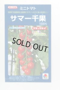 送料無料　[トマト/ミニトマト]　サマー千果　1000粒　タキイ種苗(株)