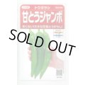 送料無料　[トウガラシ]　甘とうジャンボ　　0.5ml（約25粒）　（株）サカタのタネ　実咲450（003729）