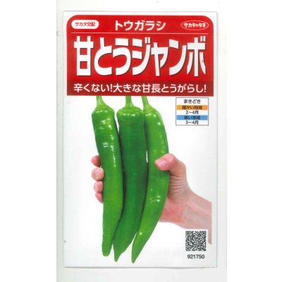 画像1: 送料無料　[トウガラシ]　甘とうジャンボ　　0.5ml（約25粒）　（株）サカタのタネ　実咲450（003729）