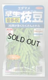 送料無料　[枝豆]　早生超多収枝豆　30ml（約60粒）（株）サカタのタネ実咲350（107806）