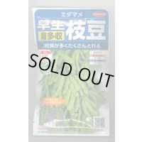 送料無料　[枝豆]　早生超多収枝豆　30ml（約60粒）（株）サカタのタネ実咲350（107806）