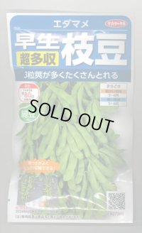 送料無料　[枝豆]　早生超多収枝豆　30ml（約60粒）（株）サカタのタネ実咲350（107806）