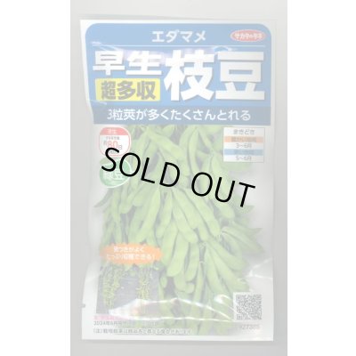 画像1: 送料無料　[枝豆]　早生超多収枝豆　30ml（約60粒）（株）サカタのタネ実咲350（107806）