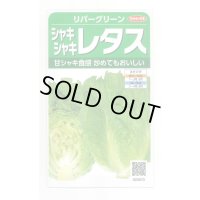 送料無料　[レタス]　リバーグリーン　0.7ml（約200粒）（株）サカタのタネ　実咲350（003026）
