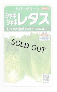 送料無料　[レタス]　リバーグリーン　0.7ml（約200粒）（株）サカタのタネ　実咲350（003026）
