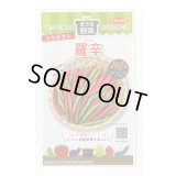 送料無料　[トウガラシ]　羅辛　12粒　（株）サカタのタネ　実咲450（107808）