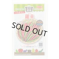 送料無料　[トウガラシ]　羅辛　12粒　（株）サカタのタネ　実咲450（107808）