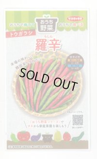 送料無料　[トウガラシ]　羅辛　12粒　（株）サカタのタネ　実咲450（107808）