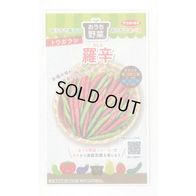 画像1: 送料無料　[トウガラシ]　羅辛　12粒　（株）サカタのタネ　実咲450（107808）