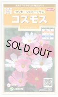 送料無料　花の種　コスモス　センセーションミックス　約90粒　（株）サカタのタネ　実咲200（026328）