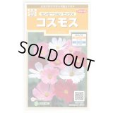 送料無料　花の種　コスモス　センセーションミックス　約90粒　（株）サカタのタネ　実咲200（026328）