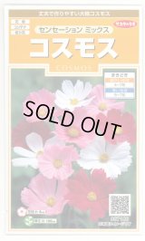 送料無料　花の種　コスモス　センセーションミックス　約90粒　（株）サカタのタネ　実咲200（026328）