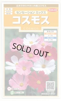 送料無料　花の種　コスモス　センセーションミックス　約90粒　（株）サカタのタネ　実咲200（026328）