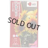 送料無料　花の種　ひまわり　F1サンリッチマロンLD　3ml   タキイ種苗（株）　NL300　