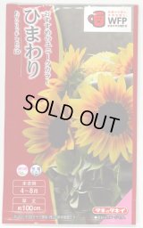 送料無料　花の種　ひまわり　F1サンリッチマロンLD　3ml   タキイ種苗（株）　NL300　