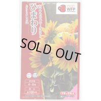 送料無料　花の種　ひまわり　F1サンリッチマロンLD　3ml   タキイ種苗（株）　NL300　