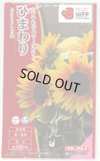送料無料　花の種　ひまわり　F1サンリッチマロンLD　3ml   タキイ種苗（株）　NL300　