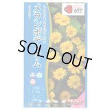 送料無料　花の種　メランポディウム　ジャックポット　約30粒  タキイ種苗（株）　NL300　