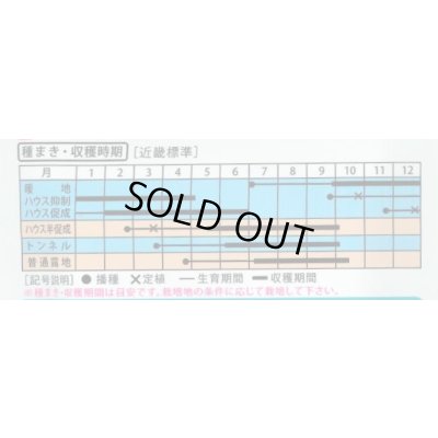 画像4: 送料無料　[オクラ]　ストロンググリーン　2dl　（株）大和農園
