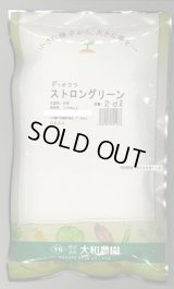送料無料　[オクラ]　ストロンググリーン　2dl　（株）大和農園