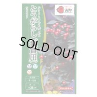 送料無料　　とうがらし（観賞用）オニキスレッド　10粒　タキイ種苗（株）NL400