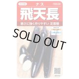 送料無料　[なす]　飛天長　約60粒　(株)サカタのタネ　実咲550（002833）
