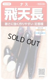 送料無料　[なす]　飛天長　約60粒　(株)サカタのタネ　実咲550（002833）