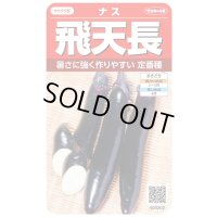 送料無料　[なす]　飛天長　約60粒　(株)サカタのタネ　実咲550（002833）