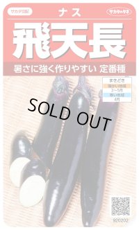 送料無料　[なす]　飛天長　約60粒　(株)サカタのタネ　実咲550（002833）