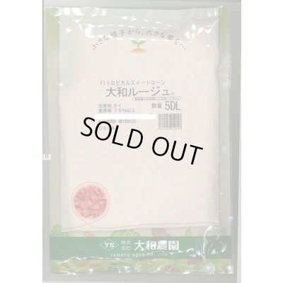 画像1: 送料無料　[とうもろこし]　大和ルージュ　5dl(およそ2000粒入っております。)（株）大和農園