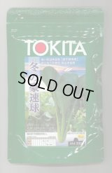 送料無料　[小松菜]　冬の豪速球　M4万粒　トキタ種苗(株)
