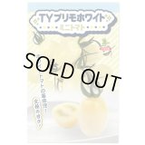 送料無料　[トマト/ミニトマト]　TYプリモホワイト　7粒　小林種苗（株）