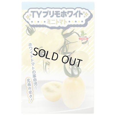 画像1: 送料無料　[トマト/ミニトマト]　TYプリモホワイト　7粒　小林種苗（株）
